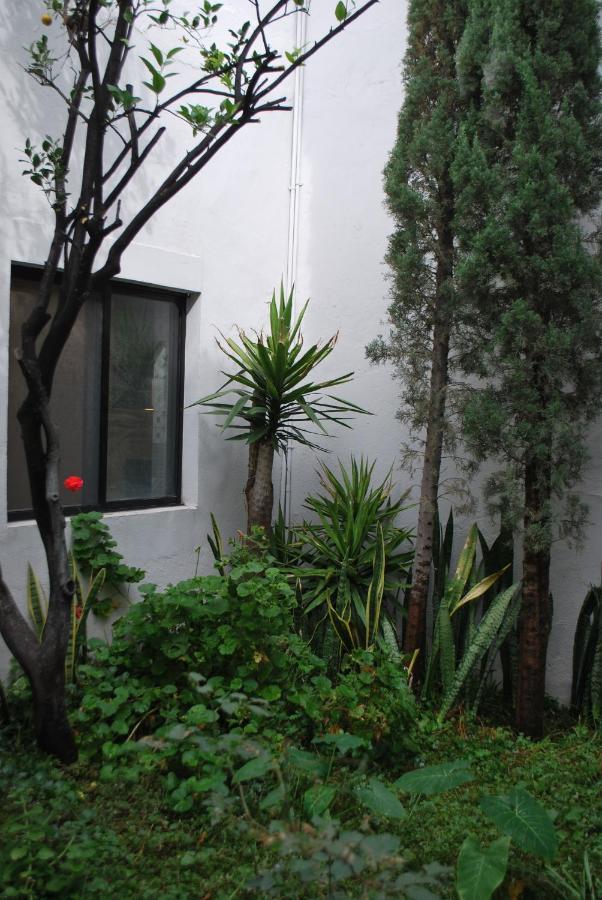 Casa En Centro Historico Villa San Luis Potosí Kültér fotó